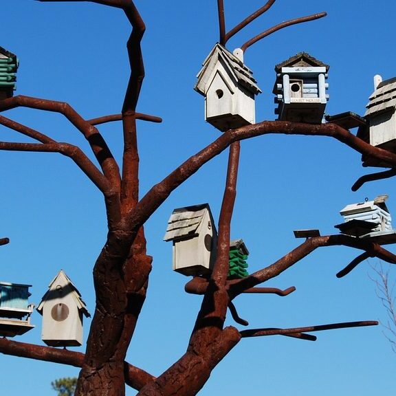 bird-houses-1046146_1280